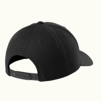 Curve Bill Snapback